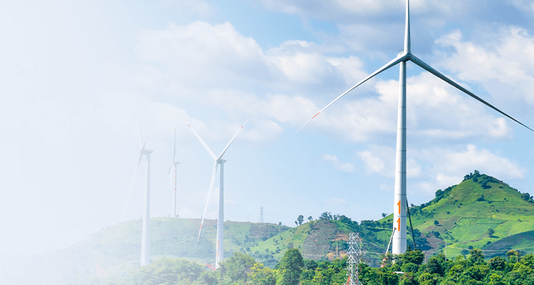 ��Ŀ����