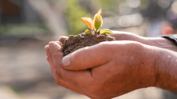 �������