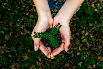 ���α���������������