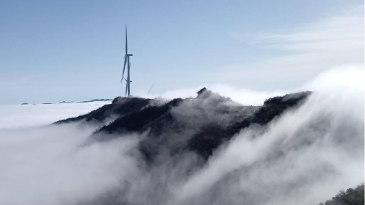 ��������(ֱӪ)�ٷ���վ