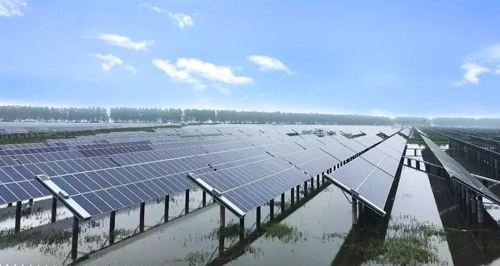 ����ʡ۶�����γ���80MWp��⻥��