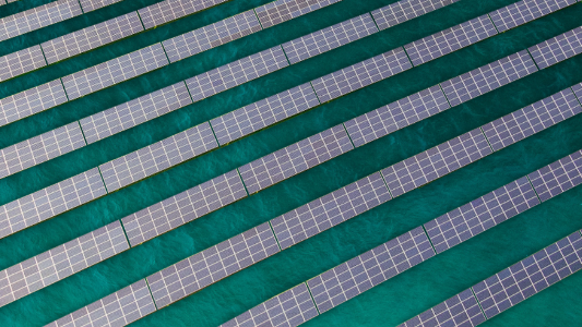 ��������(ֱӪ)�ٷ���վ