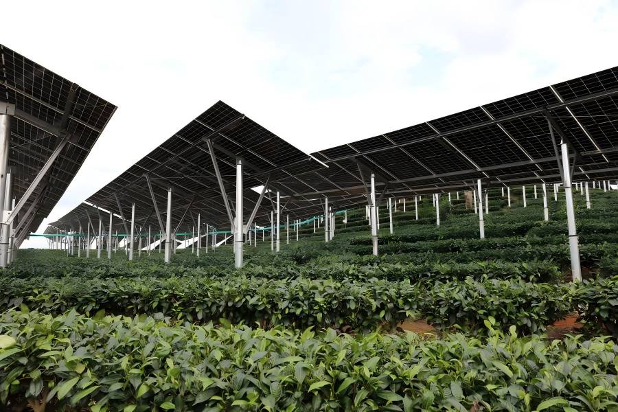 ������������ϲ��80MW�����Ŀ�����Խ���ָ������������������ ��ɫ��Դ����������ʵһ����