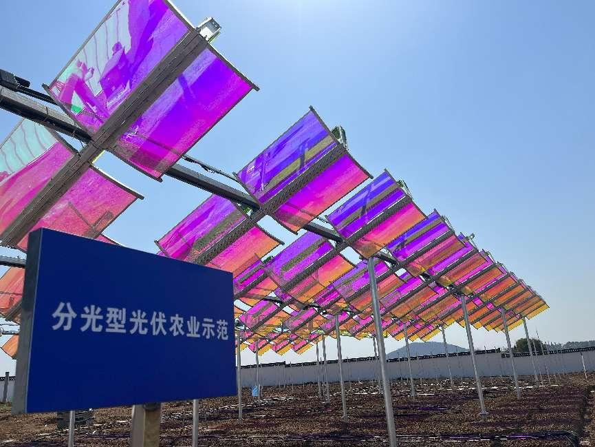 ����������������������⹲�衪������100MW�����Ŀ���������������������ȹ�ֹ����д"˫̼"ʫ��